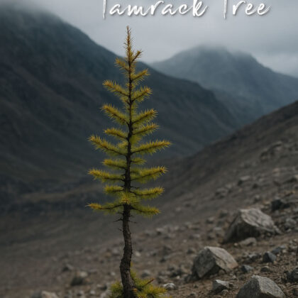 The Tiniest Tamarack Tree by Steven Marc Trier